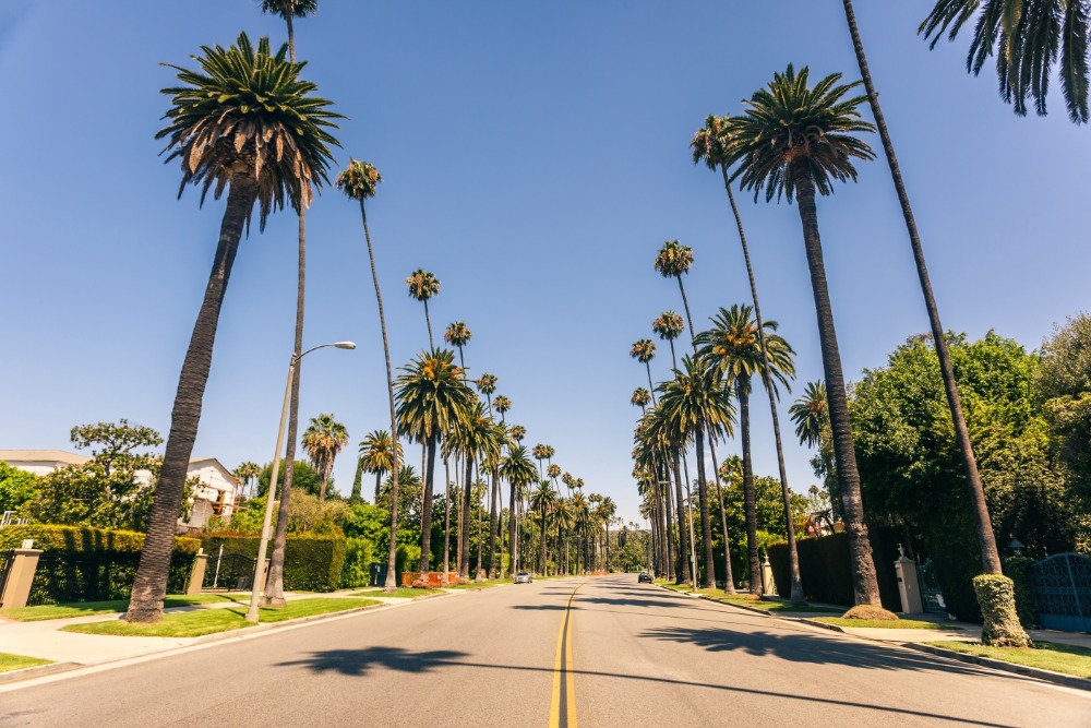 Hollywood Hills