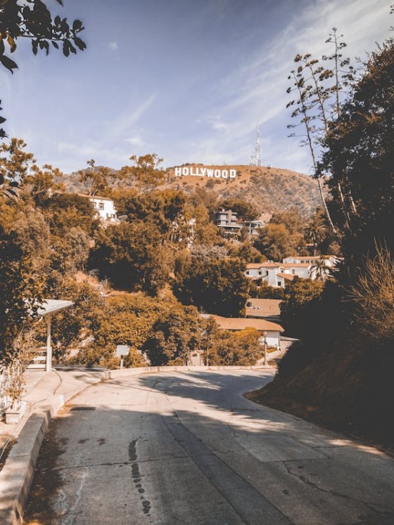 Luxury Villa in LA
